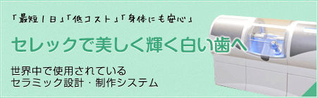 セラミック